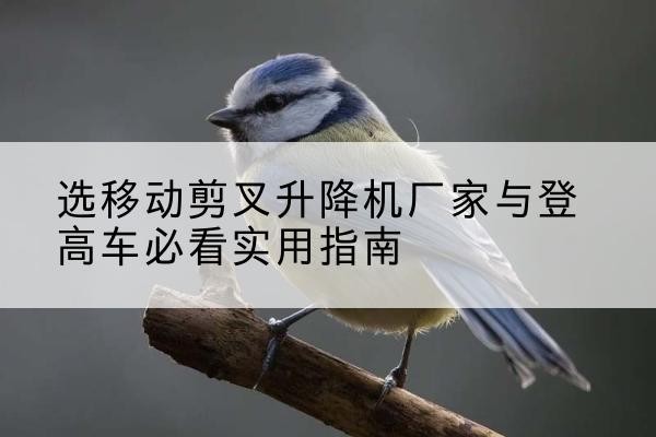 双台子电动升降机厂家-选移动剪叉升降机厂家与登高车必看实用指南