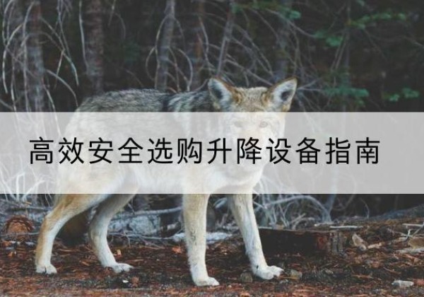 双台子升降货梯厂家推荐-*安全选购升降设备指南