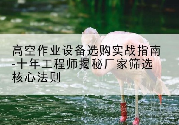 双台子剪叉式升降机厂家-高空作业设备选购实战指南-十年工程师揭秘厂家筛选核心法则